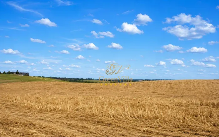 São Luiz do Purunã, 62 hectares ou 26 alqueires , PLANTA 70%,