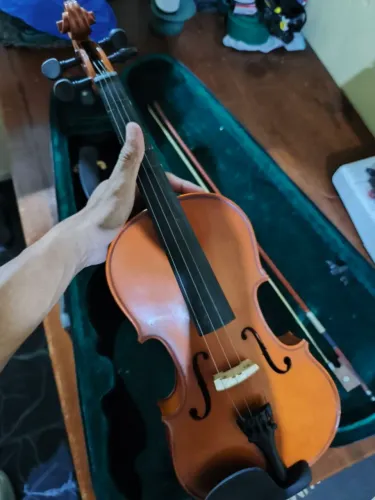 Violino 4x4