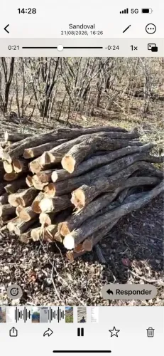 Estacas de sabiá