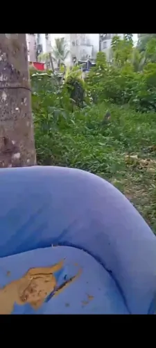 Terreno no viver melhor na frente do balneários vigas