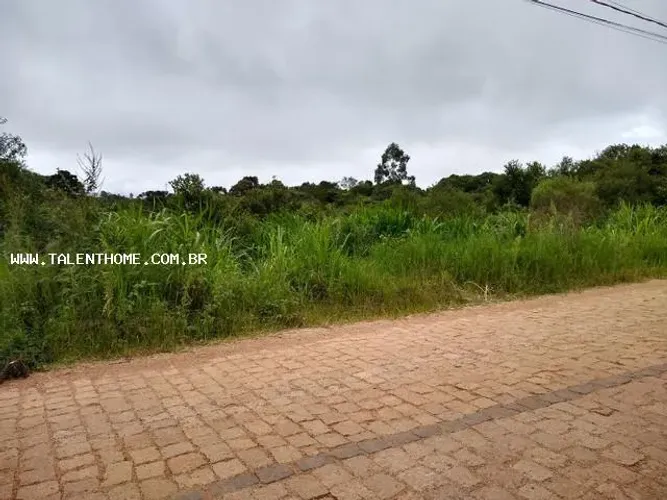 Terreno para Venda em São José dos Pinhais, Zona Rural