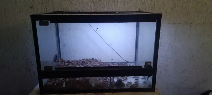 Terrário com led embutido