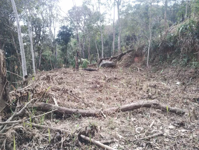 Terreno 1.000 M2 para Venda Com Rua Pavimentada .
