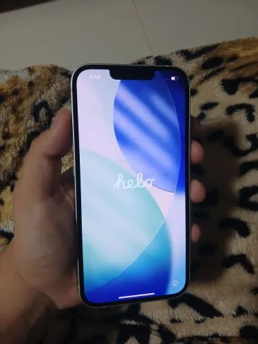 iPhone 13