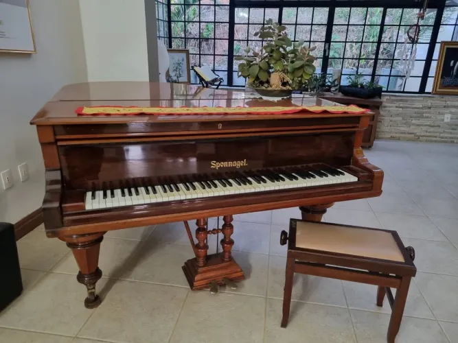 Luthier para instrumentos clássicos e afinação pianos