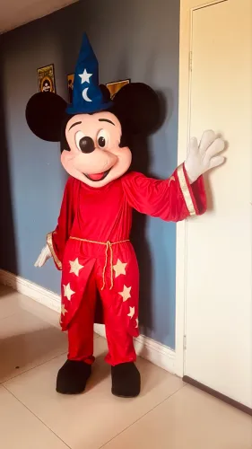 Lote de Fantasias de Personagens Vivos mascotes