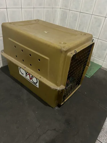 Caixa de transporte de cachorros