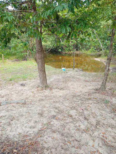 Vendo chácara c/ banho e casa ,40 km de Boa vista