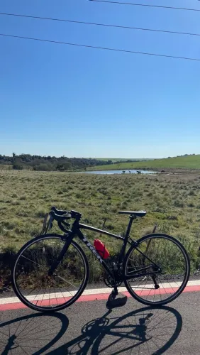Speed Trek Domane al 2