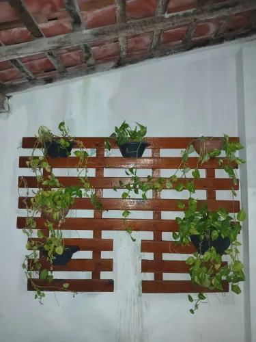 Todas as plantas e grade
