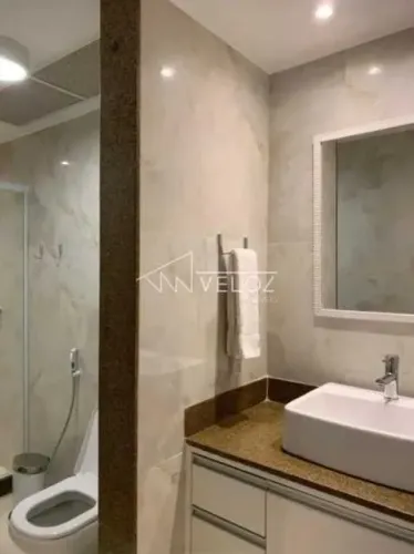 Apartamento : Padrão / Residencial / Ipanema