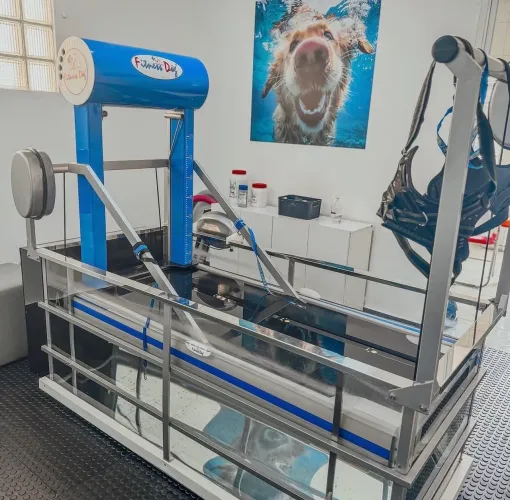 Hidroesteira veterinária