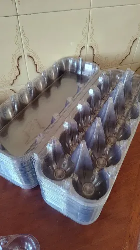 Cartela para 12 ovos transparente.