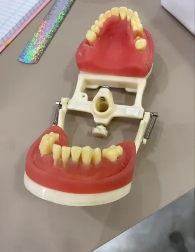 Manequim Odontólogico de Cirurgia