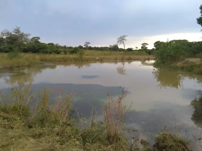 Fazenda de 280 Hectares, Toda Formada com Córrego - Arinos-MG