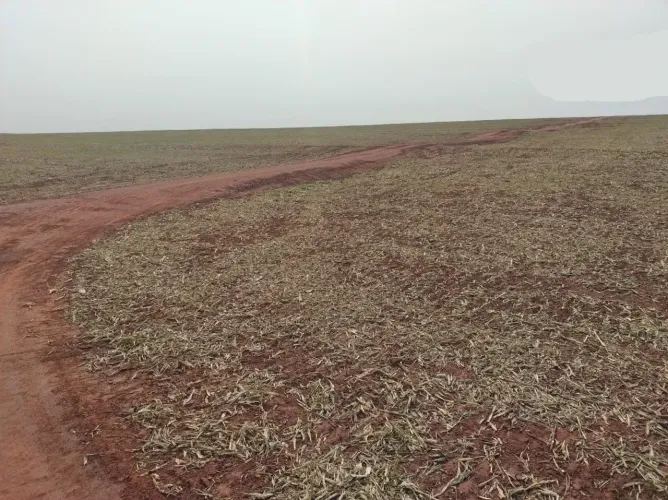 Fazenda a venda no MS. Naviraí.