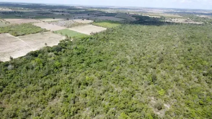 Excelente fazenda com 270 hectares próximo a Macaíba