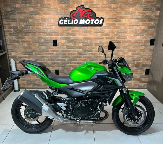 Z 500 VERDE 2024/2025