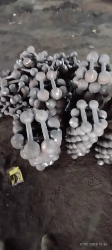Kattlebells e Halteres