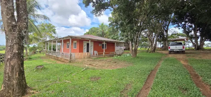Vendo Área de terra com 240 ha, na BR-364, Município de Placido de Castro-AC sentido Port