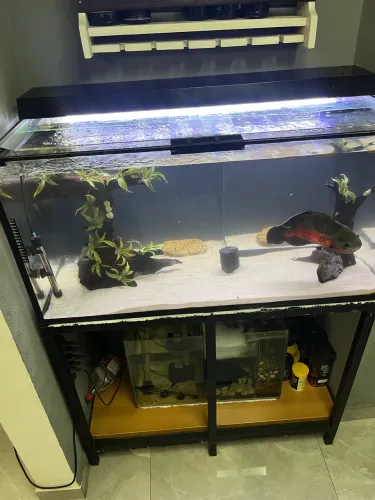 Aquário 200L