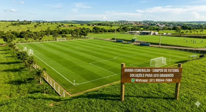 Grama gramas Esmeralda Melhor Oferta Direto da Fazenda
