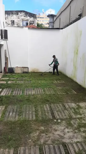 Jardineiro/ Irrigação/ Poda