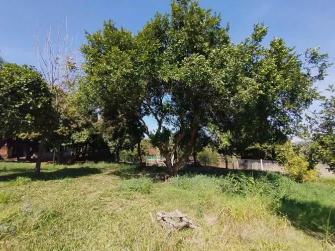 Chácara a venda em Florida Paraná