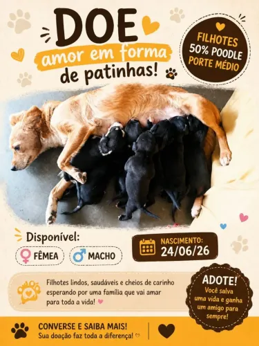 Doação de filhotes de cachorro