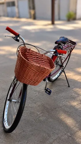Bicicleta roxa