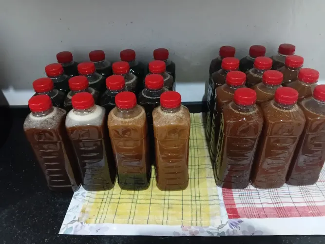 Mel de abelha italiana