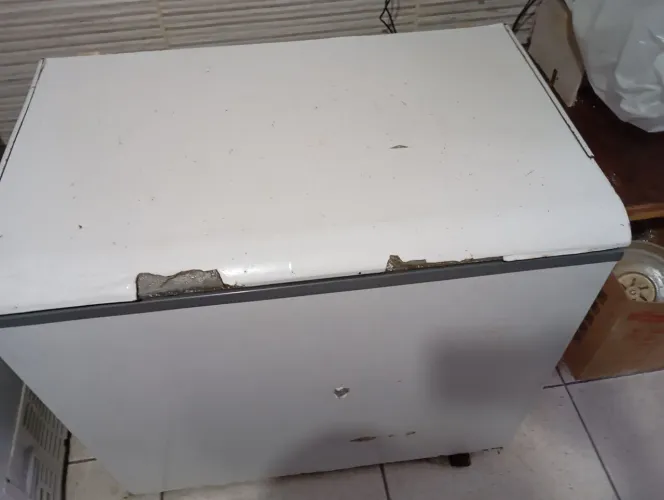 Freezer horizontal 220v