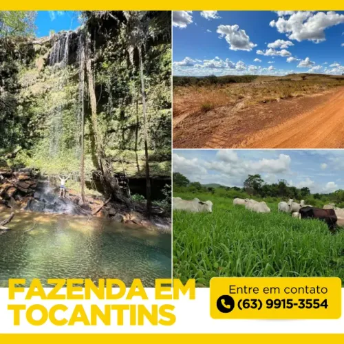 Fazenda, Terra, Lavoura, Platanção, Soja, Cana, Canavial, Cercada, Chacara, Chácara, Roça 