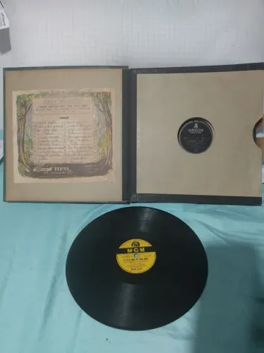 12 disco de vinil com álbum