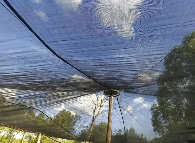 Tela de Sombreamento Preta 70% para Hortas, Caçambas e Orquidários 10 x 6