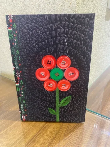 Livro O diário de Myriam Darkside 