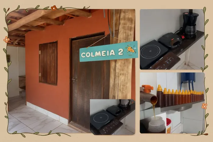 Apiario quintal do Clayton