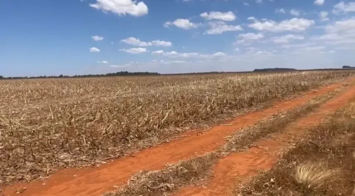 Fazenda a venda em Água Fria de Goiás!!!