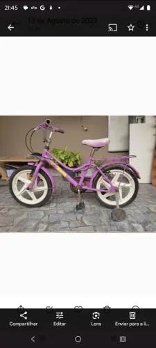 Bicicleta Infantil Rosa