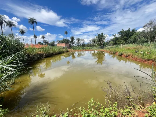 Terreno com lagoa 