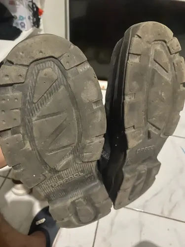 Bota