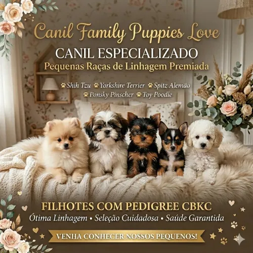 Canil Especializado em pequenas raças