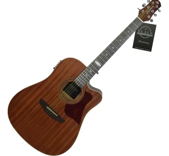 Violão Strinberg Sd200 Mgs Folk Mgs Fosco Black | Destro