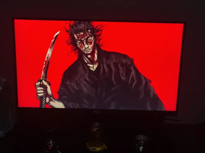 Monitor AOC