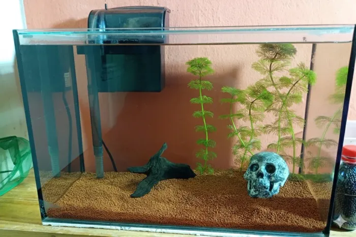 Aquário completo 