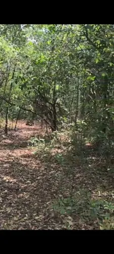Chácara com acesso ao rio
