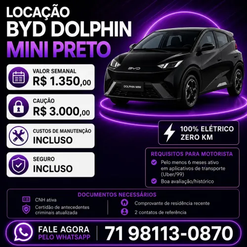 BYD Dolphin Mini (Elétrico) 2025