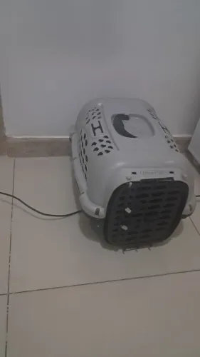 casinha cachorrinha