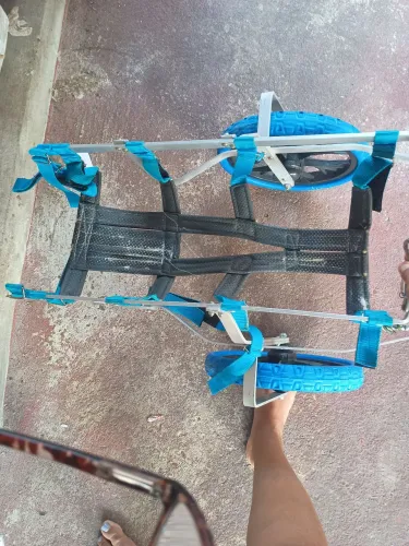 carrinho pet