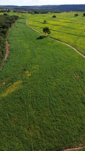 Vendo Fazenda em Alexania GO